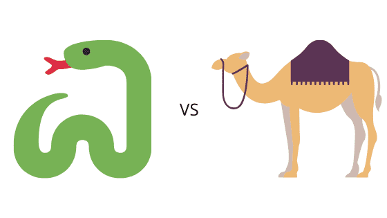 snake-casing vs camelCasing